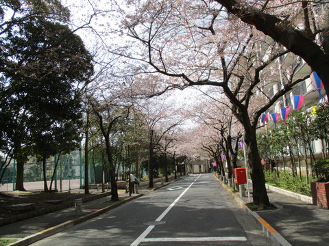 18船堀公園前の道2
