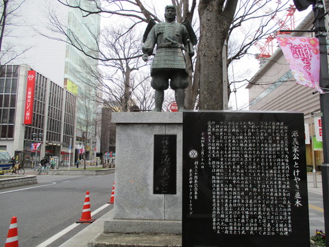 36馬場大門のケヤキ並木7