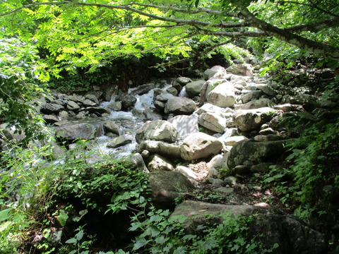 156新道幽ノ沢1