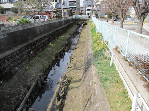 178栄橋4