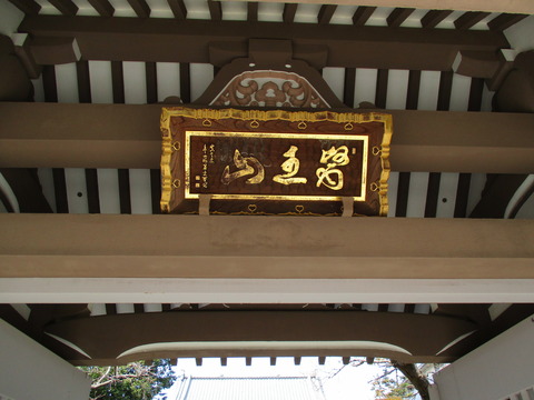 141東円寺5