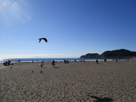 134由比ヶ浜