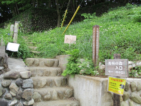 67四小口2