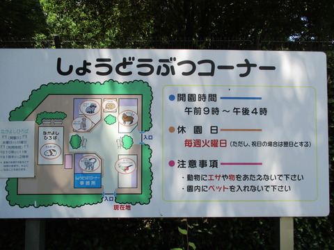 185小動物コーナー1