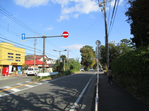 125旧東海道松並木