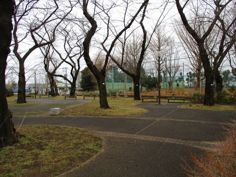 52幸ヶ谷公園3