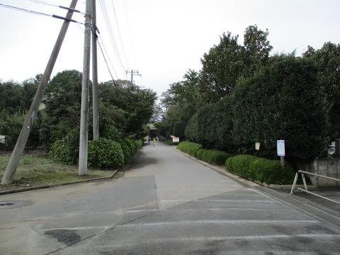 111参道