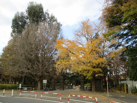 204松戸中央公園1