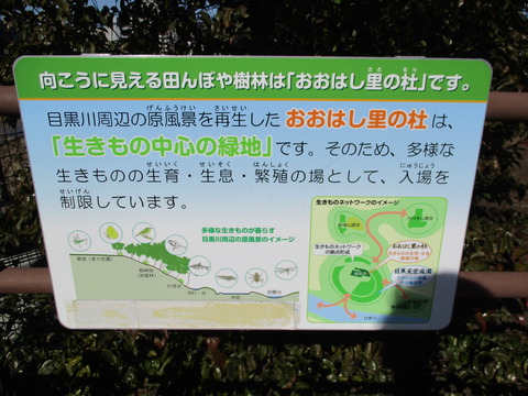56目黒天空庭園9