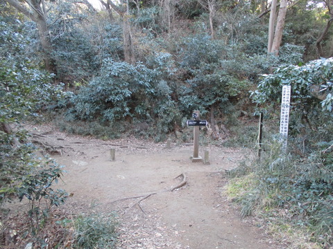 51分岐点1