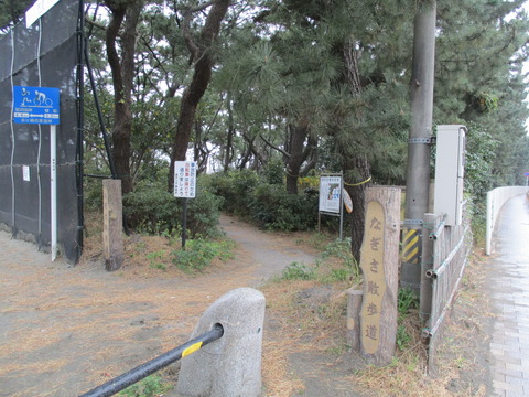 173なぎさ遊歩道