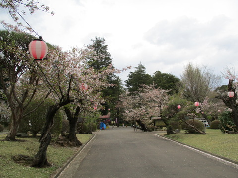 190城山公園4