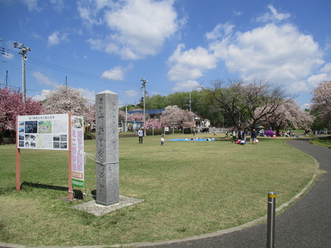 46天平の丘公園3