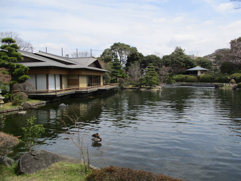 57平成庭園1