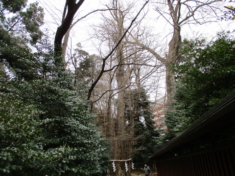 21大國魂神社11