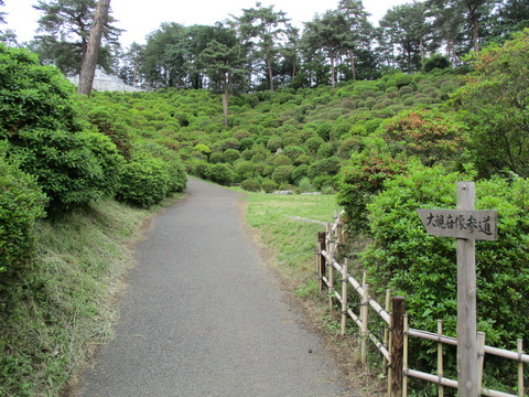 167大観音像参道2