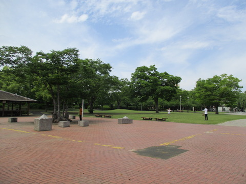 164深谷城址公園5