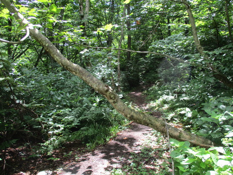 151新道2