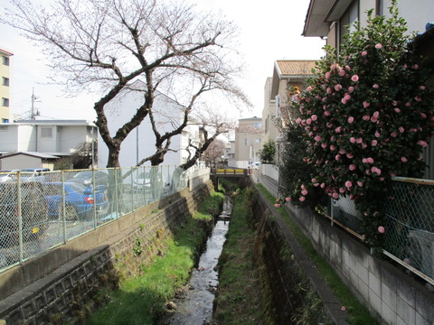 179栄橋5