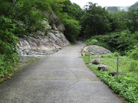 84マチガ沢出合1