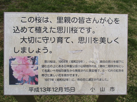 218思川アプローチ6
