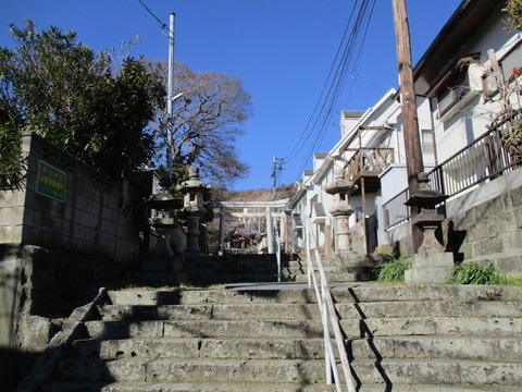 263入口