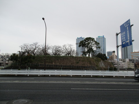 169幸ヶ谷公園遠景
