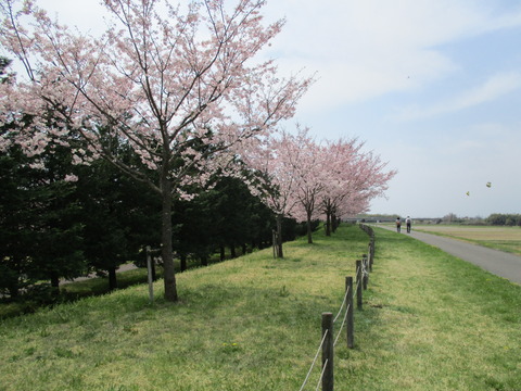 108小山総合公園3
