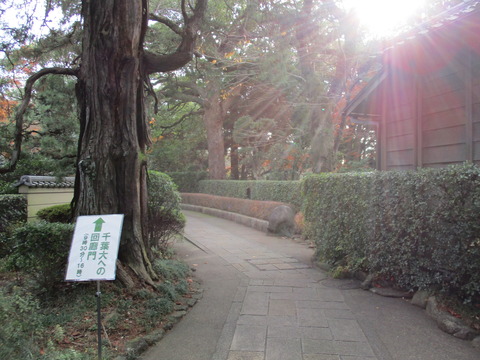 191梅園1