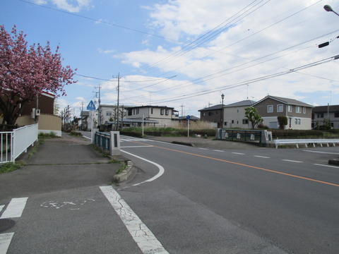 180川沿い1