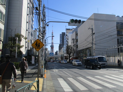 53遠くに東京タワー