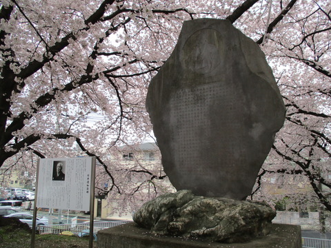 132万平公園14