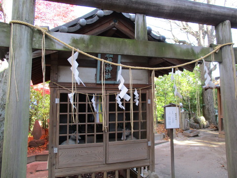 92稲荷神社2