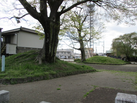 220小金井一里塚2