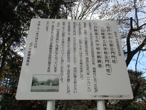 207松戸中央公園4