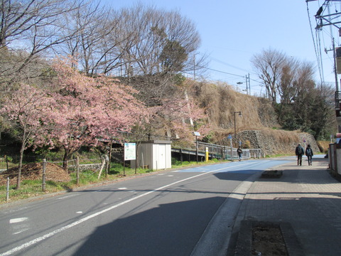 123再びせせらぎ通り1