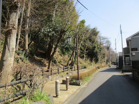 115ここも下の川緑地せせらぎ遊歩道公園1