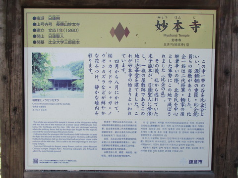 110妙本寺2