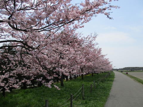 122小山総合公園17