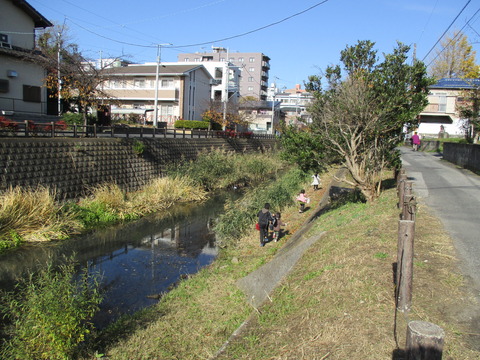 118坂川遊歩道2