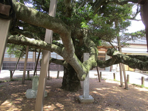 38馬蹄寺8