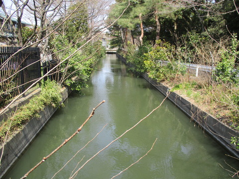 68見沼代用水2
