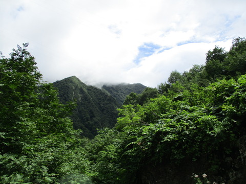 134幽ノ沢出合7