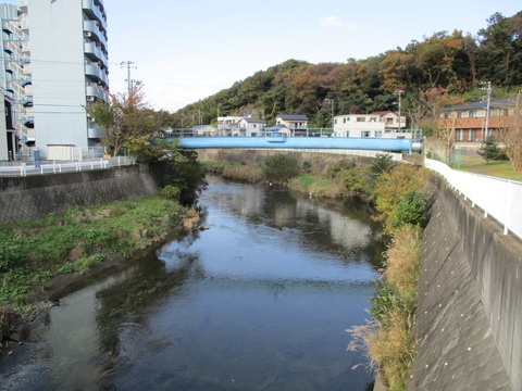 161引地橋・引地川2