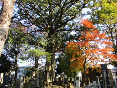 118常光寺11