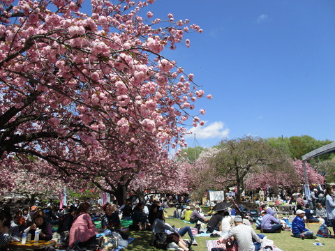 52-2天平の丘公園9-2