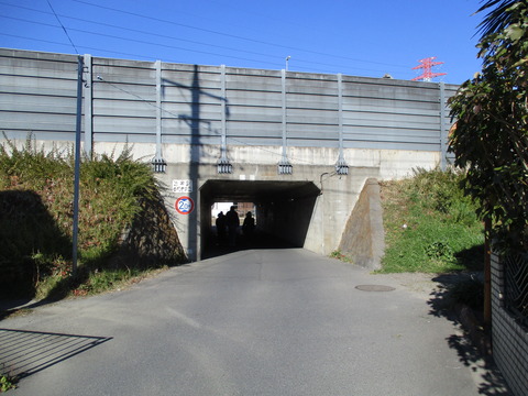 152-10国道125号高架