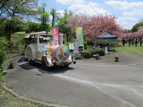 122再び天平の丘公園3