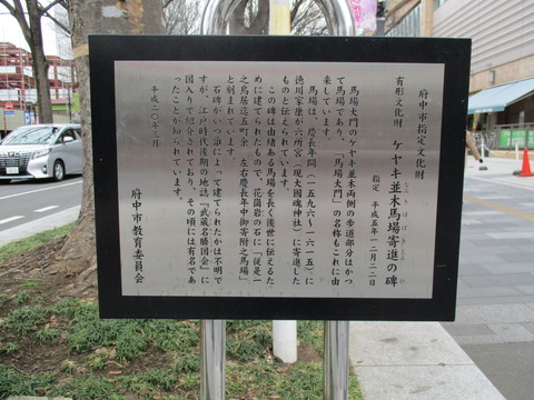 32馬場大門のケヤキ並木3