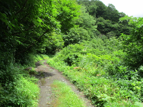 135幽ノ沢出合8